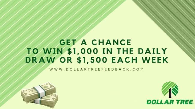 how to take dollartreefeedback survey